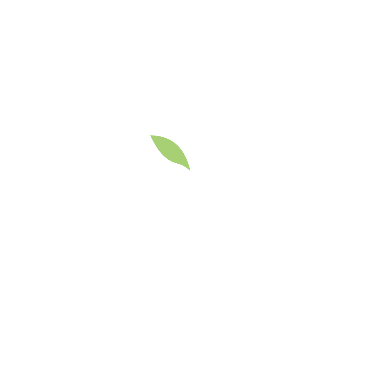 Green & Handy outdoor project in Reno