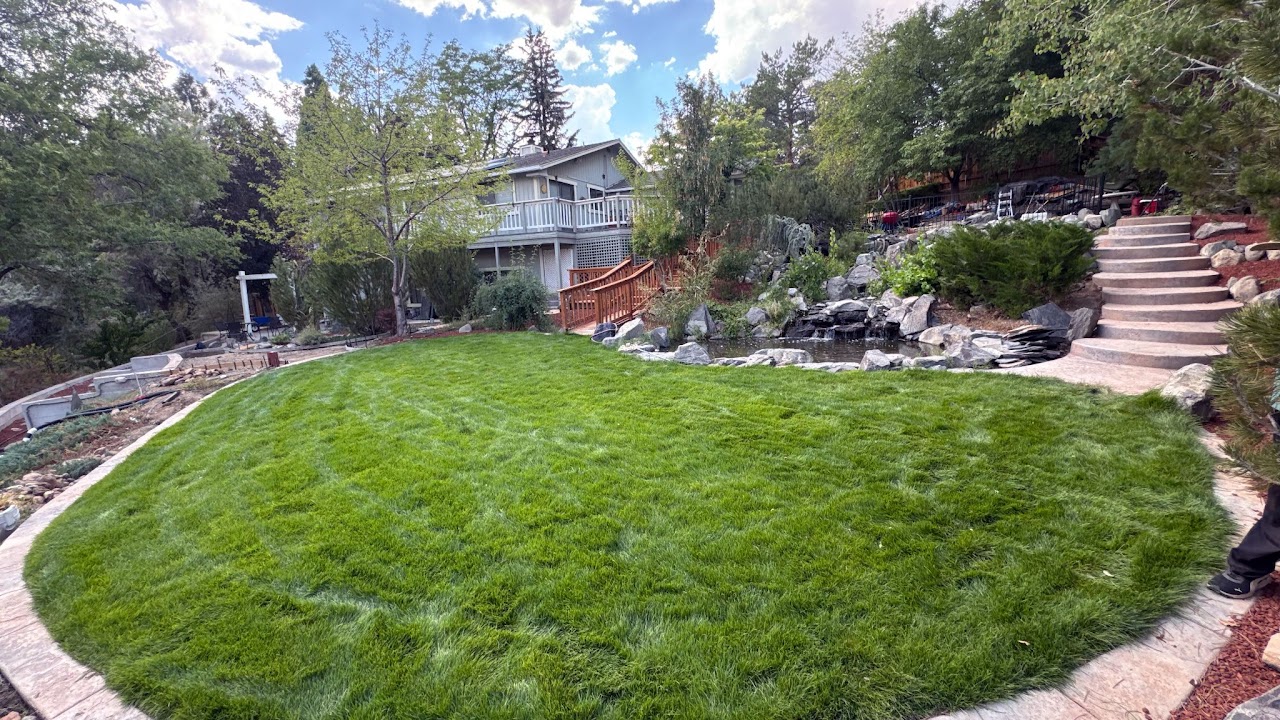 Finished lawn installation with concrete border